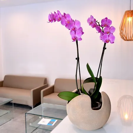 Island Dreams Rooms & Suites-3